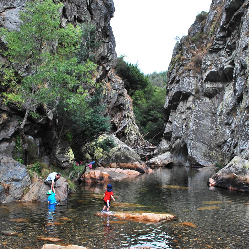 KONICA MINOLTA DIGITAL CAMERA